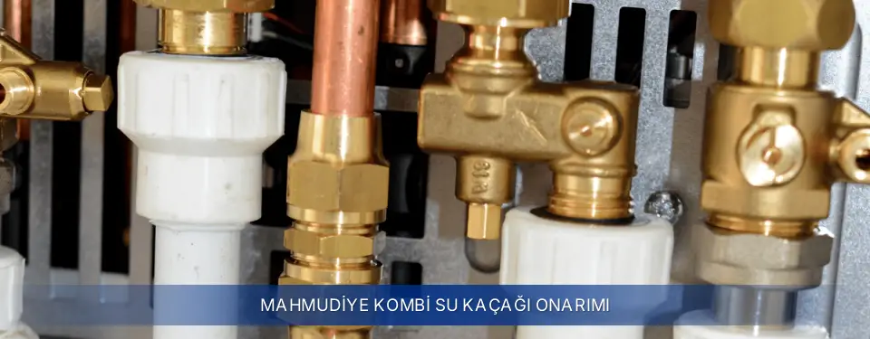 Mahmudiye İlçemi Buderus Kombi Su Kaçağı Onarımı