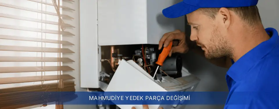 Mahmudiye İlçemi Buderus Yedek Parça Değişimi